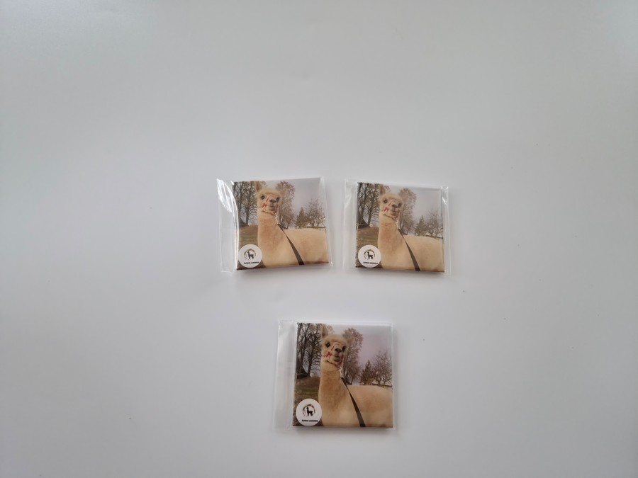 Magnetukas ,,Snikis"