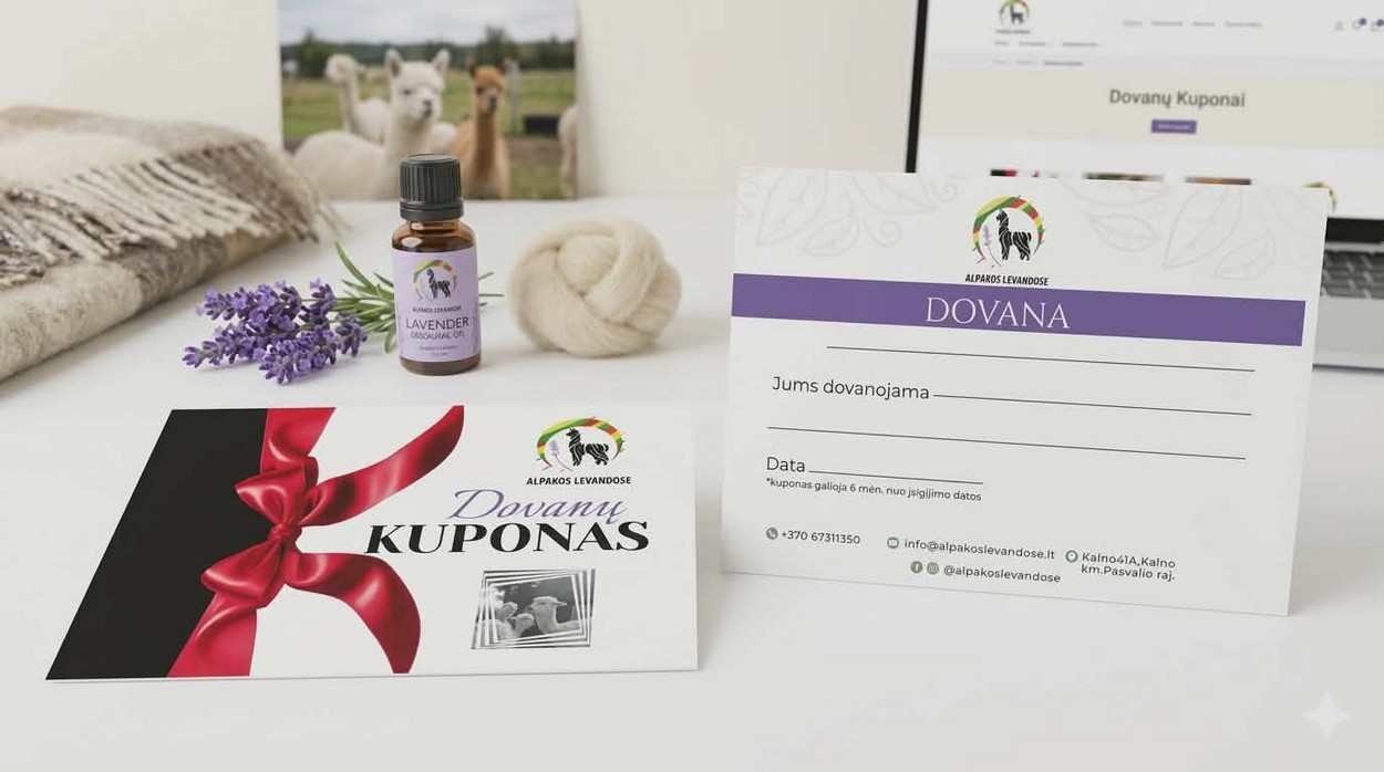 Dovanų kuponas 100Eur